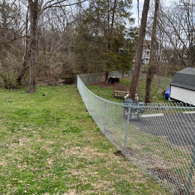 chain link fence around backyard